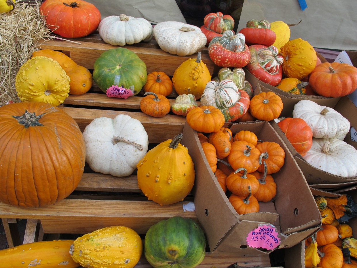 Cosa Fare A Roma Ad Halloween 2021