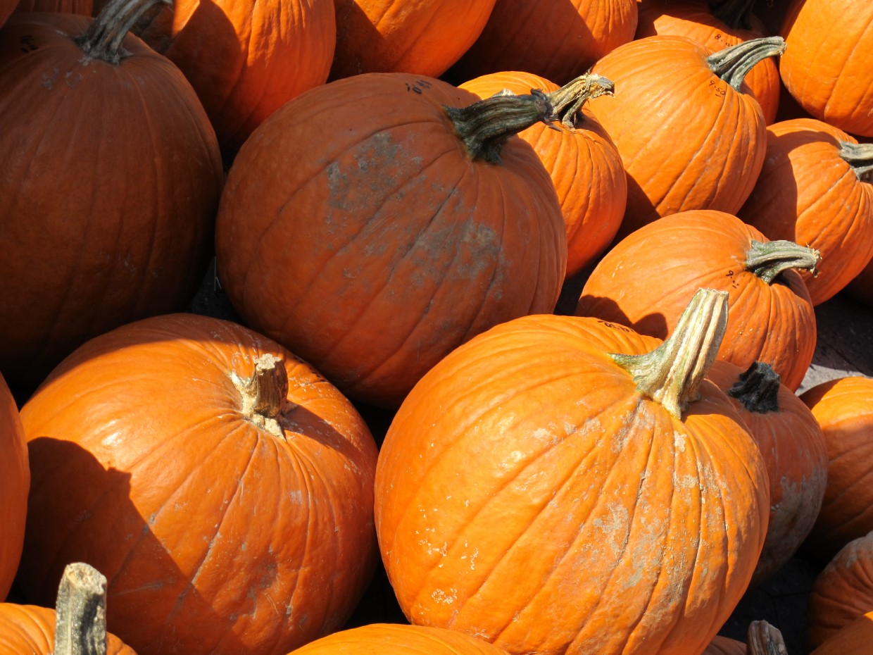 Cosa Fare A Roma Ad Halloween 2021