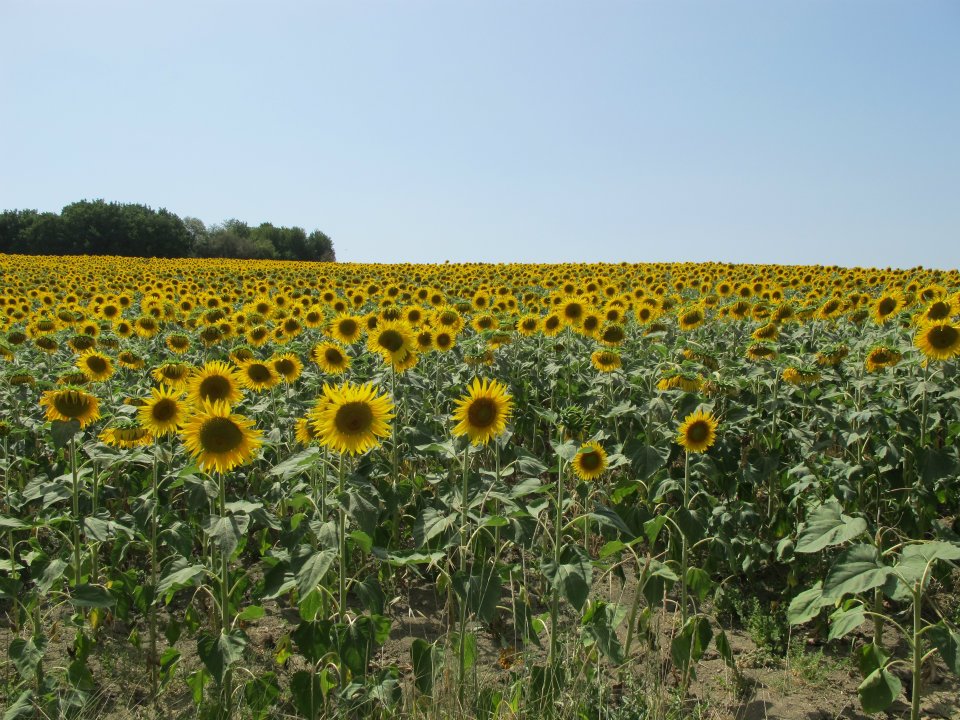 riviera romagnola