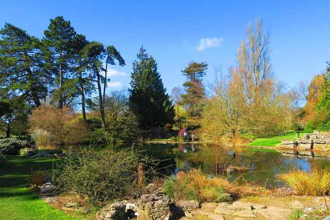 Cosa vedere a Cambridge