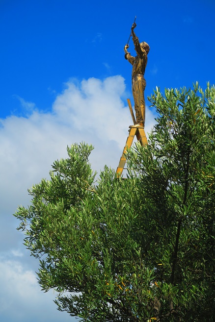 Parco della Biodiversità Mediterranea Catanzaro