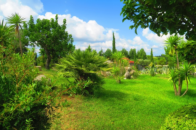 Parco della Biodiversità Mediterranea Catanzaro