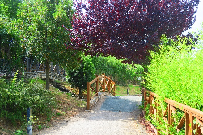 Parco della Biodiversità Mediterranea Catanzaro