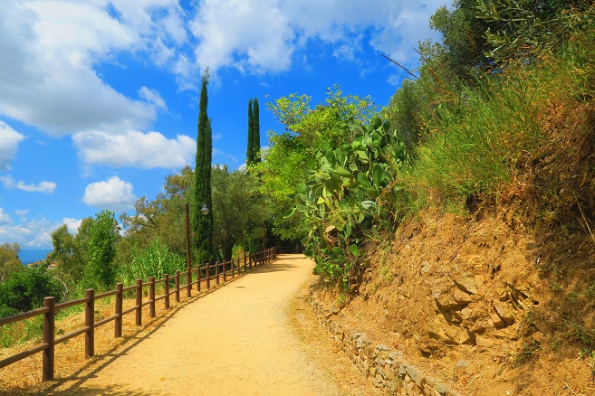 Parco della Biodiversità Mediterranea Catanzaro