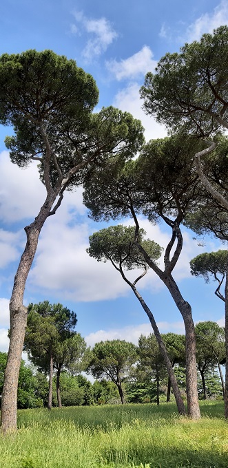 Villa Doria Pamphili Roma