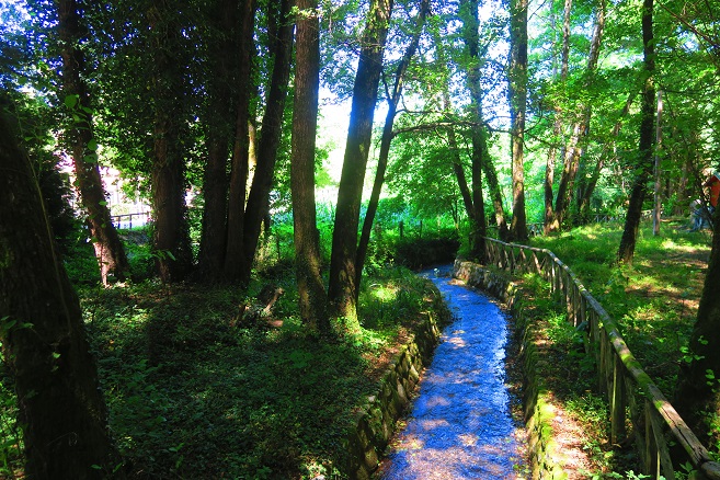 visitare serra san bruno