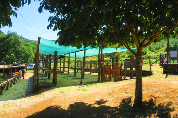 Parco Catone Adventure