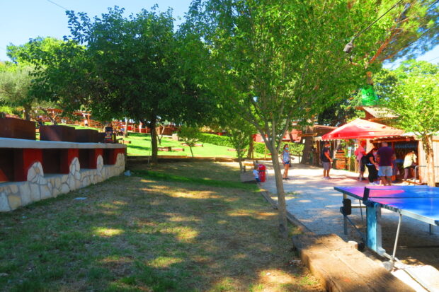 Parco Catone Adventure