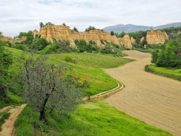 dintorni di arezzo