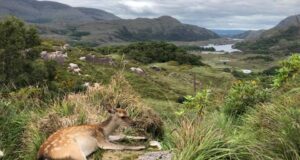 Diario di viaggio in Irlanda