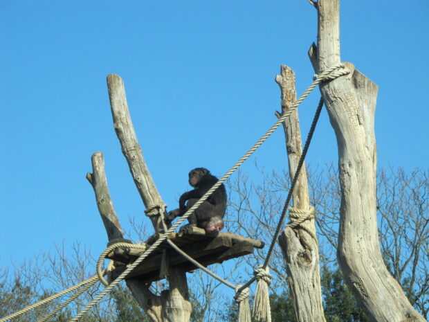 Bioparco di Roma