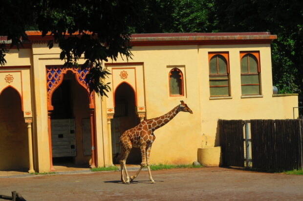 Bioparco di Roma