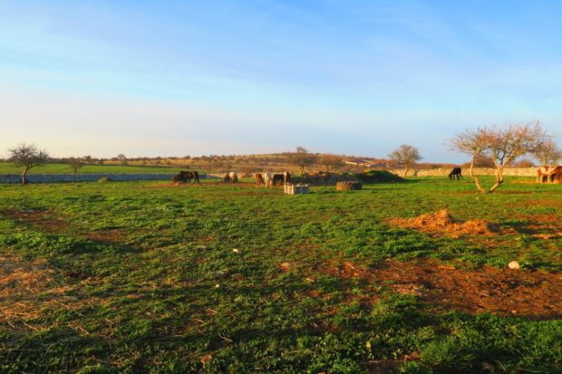 Agriturismo Sei Carri