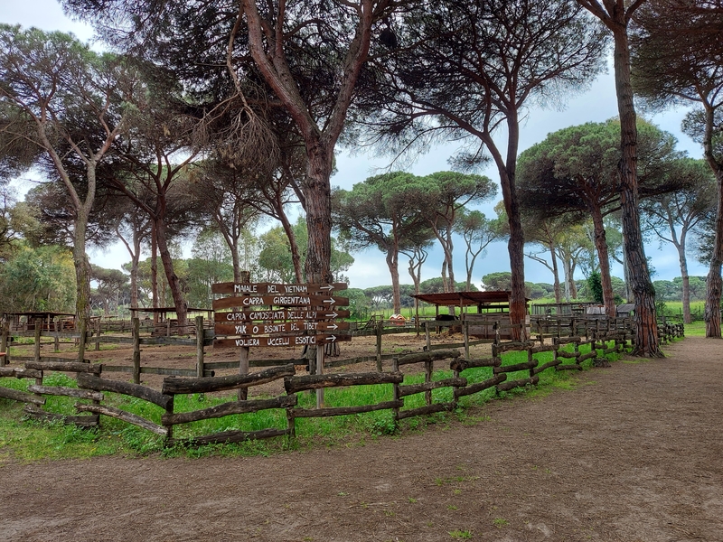 La Fattoria degli animali Roma