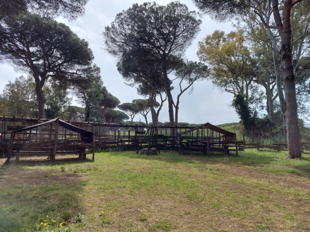 La Fattoria degli animali Roma