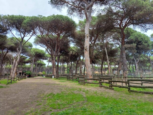 La Fattoria degli animali Roma