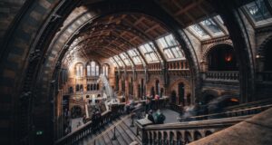 5 musei da non perdere a londra