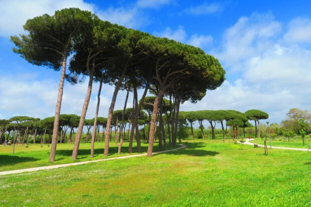 Villa Gugliemi Isola Sacra Fiumicino