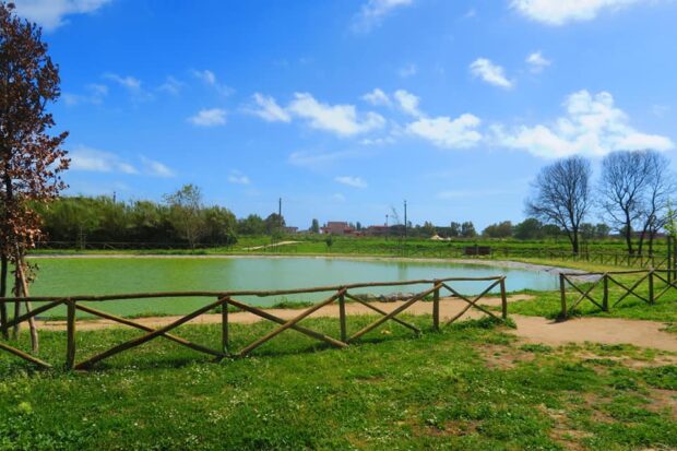 Villa Gugliemi Isola Sacra Fiumicino