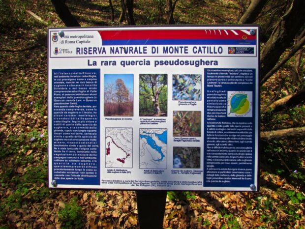 Riserva Naturale di Monte Catillo Tivoli