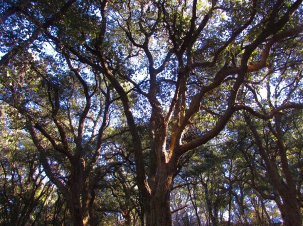 Riserva Naturale di Monte Catillo Tivoli