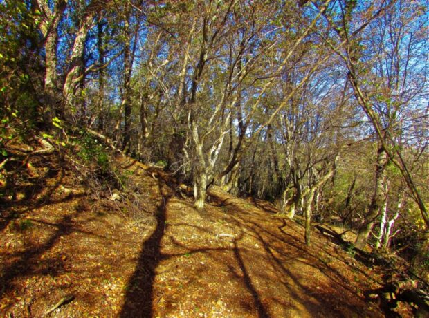 Riserva Naturale di Monte Catillo Tivoli