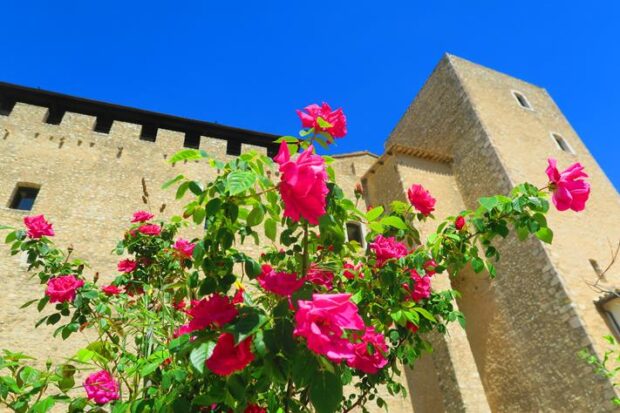 Cosa vedere a Spoleto