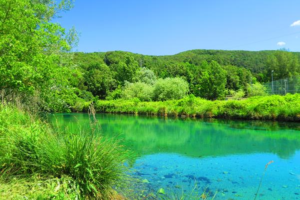 Parco del Grassano