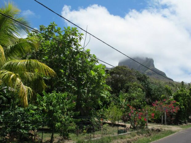 Bora Bora Polinesia Francese