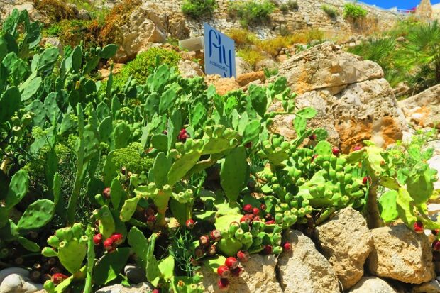 Fly Calaporto Polignano a Mare Bari Puglia