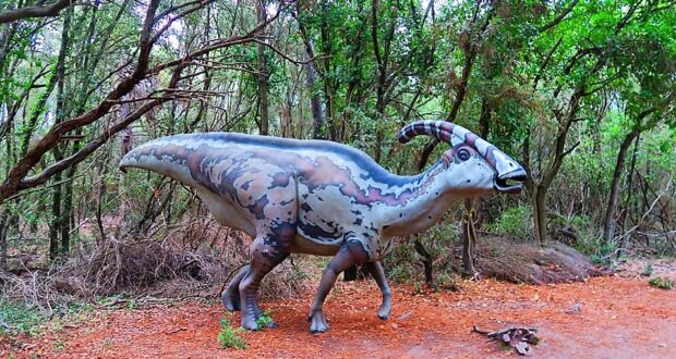 Dinosauri Fiumicino Oasi WWF di Macchiagrande