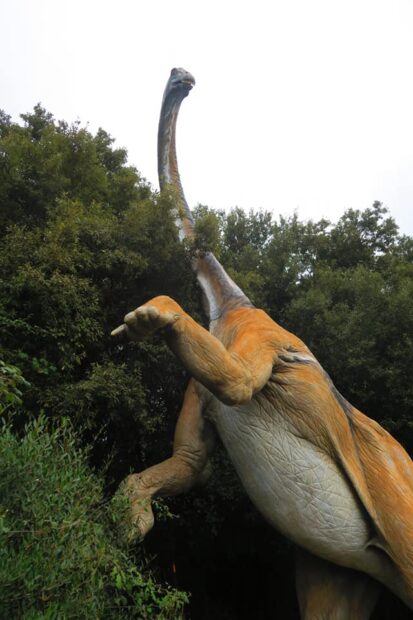 Dinosauri Fiumicino Oasi WWF di Macchiagrande