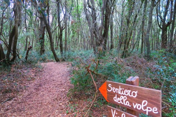 Dinosauri Fiumicino Oasi WWF di Macchiagrande