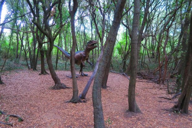 Dinosauri Fiumicino Oasi WWF di Macchiagrande