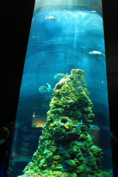 Acquario di Genova