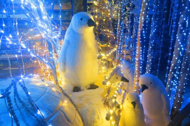 Il Regno di Babbo Natale Vetralla