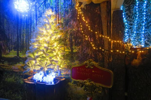 Il Regno di Babbo Natale Vetralla