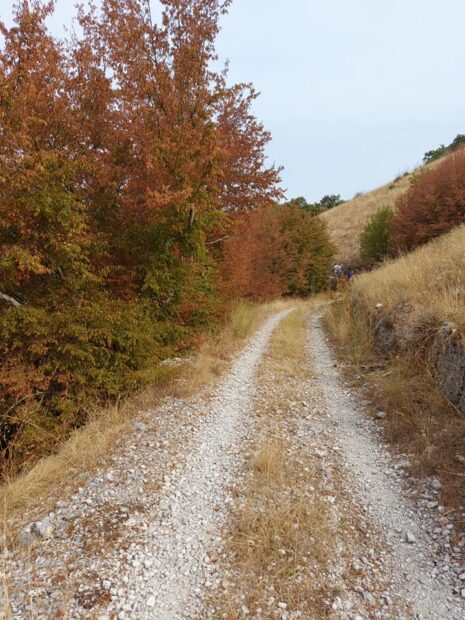 Trekking lungo il Sentiero del Conciato Romano