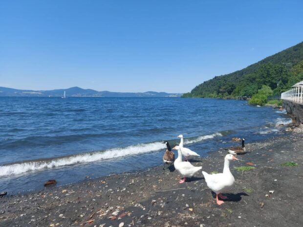 La Caletta sul Lago Anguillara Sabazia