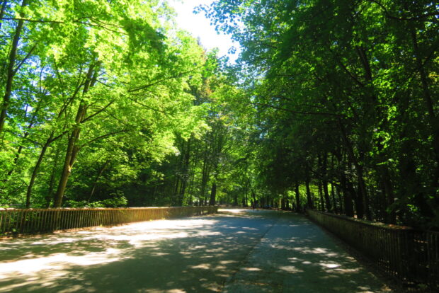 Diario di viaggio in Belgio con Bambini 