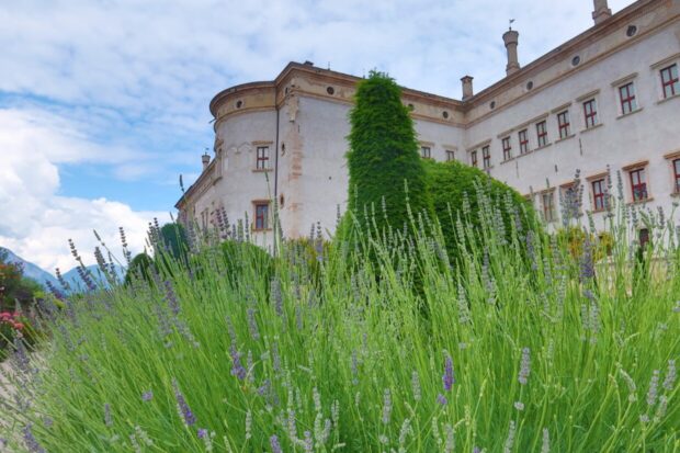 Cosa vedere a Trento