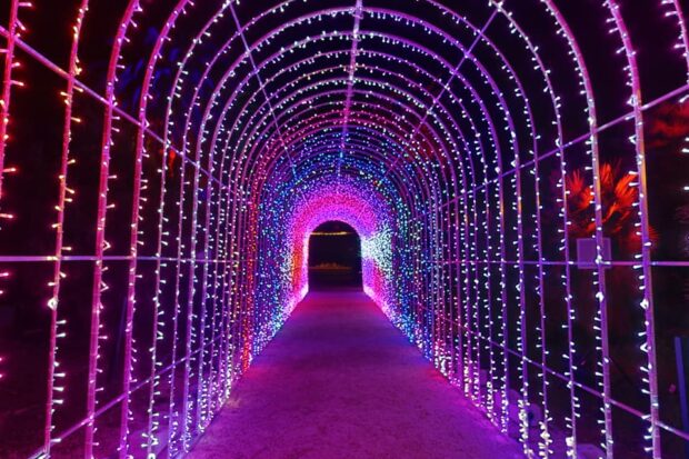 Trame di Luce Roma 2023