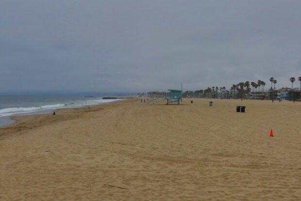 Cosa vedere a Venice beach Los Angeles