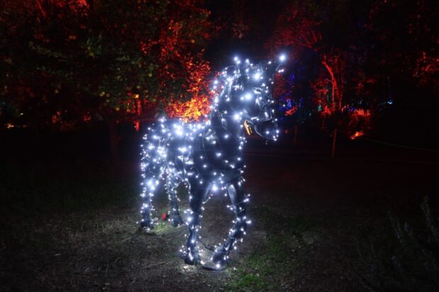 Lights in Nature Roma