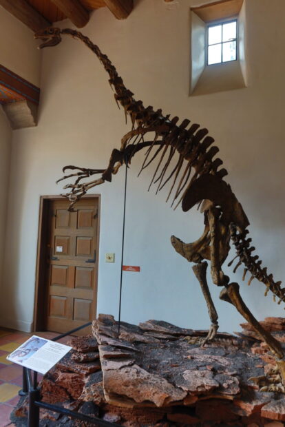 cosa vedere a flagstaff route 66 arizona 