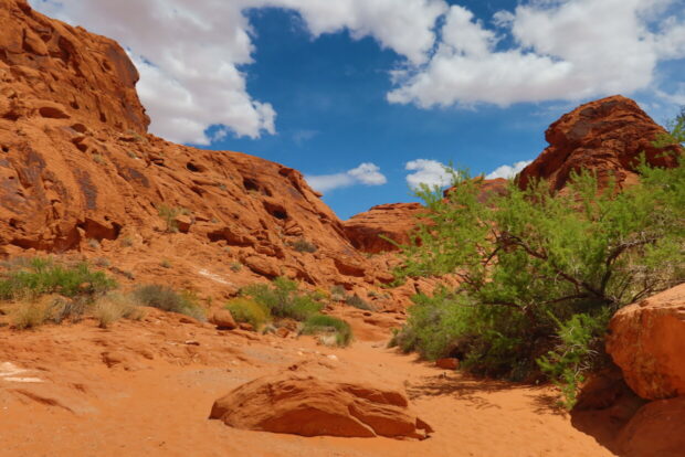 Valley Of Fire State Park Nevada