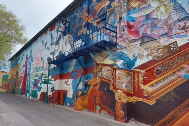 cosa vedere a flagstaff route 66 arizona 