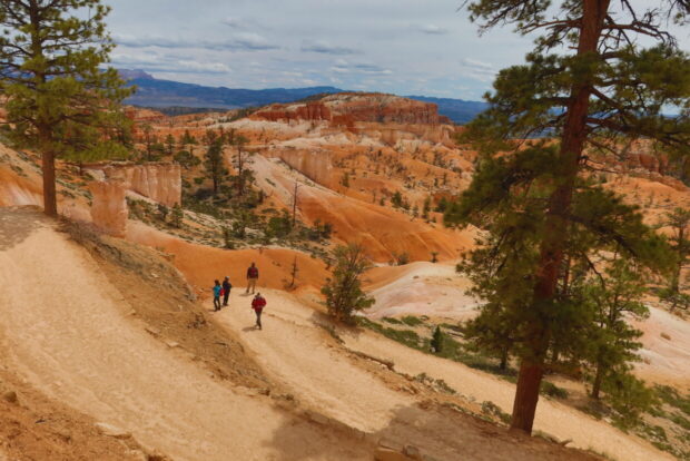 Bryce Canyon National Park Utah USA