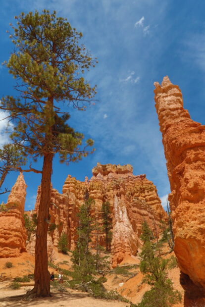 Bryce Canyon National Park Utah USA