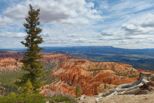 Bryce Canyon National Park Utah USA